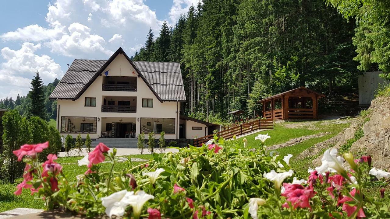 Perla Padurii Hotel Valea Mare  Exterior photo